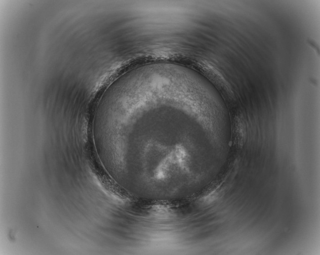 X0000103160496200809051702