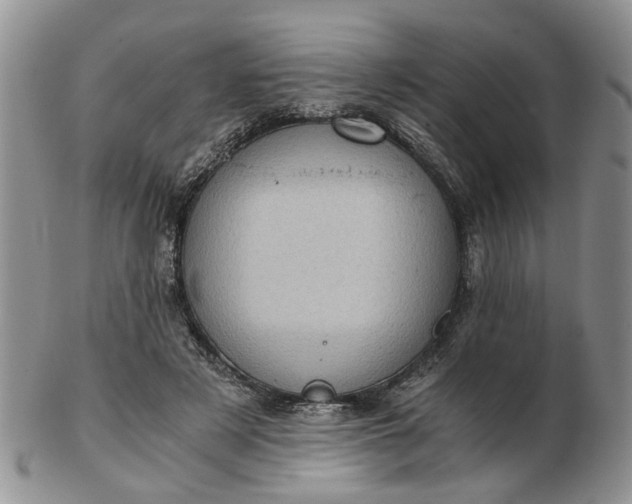 X0000103160497200809051702