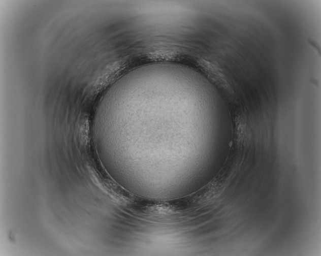 X0000103160498200809051702