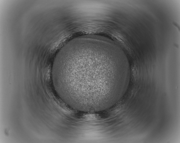 X0000103160499200809051702