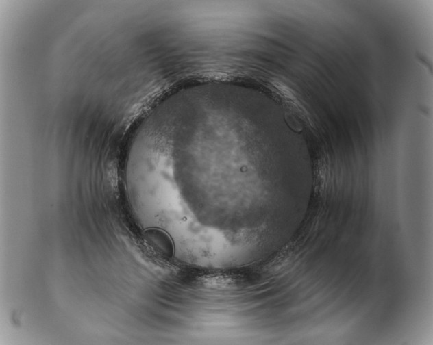 X0000103160500200809051702