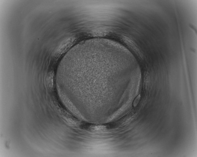 X0000103160501200809051702