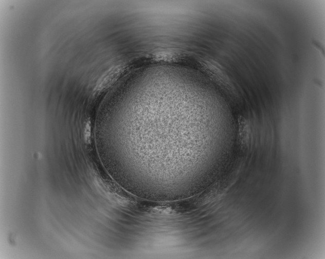 X0000103160502200809051702