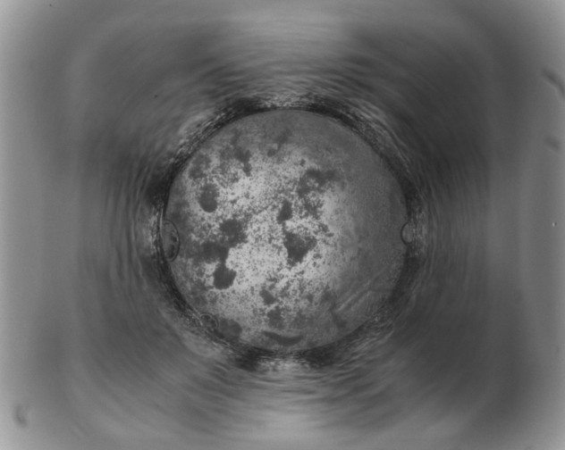 X0000103160503200809051702