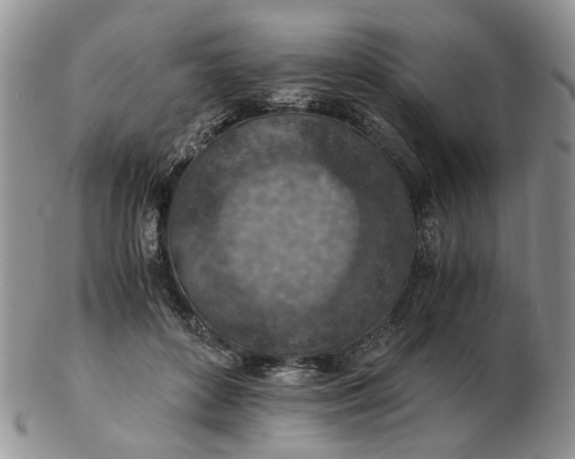 X0000103160504200809051702