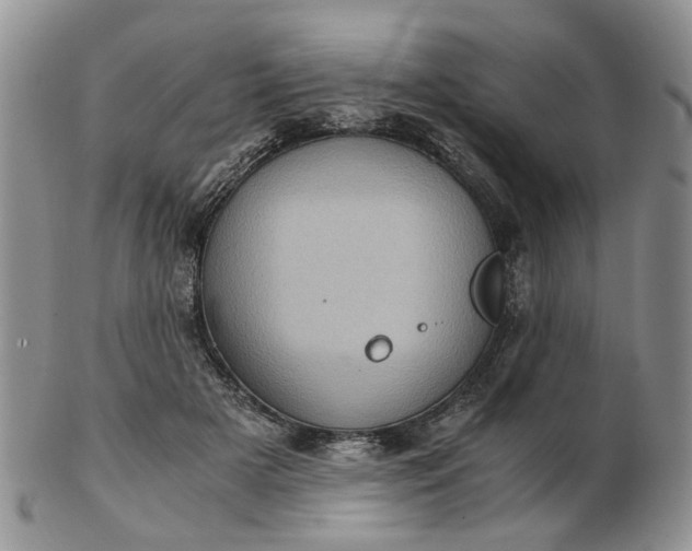 X0000103160505200809051702