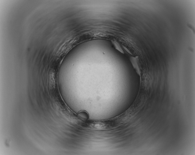 X0000103160506200809051702