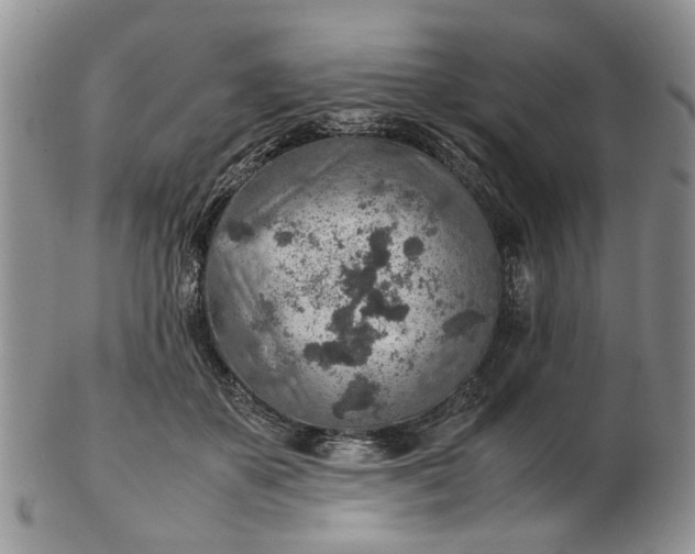 X0000103160507200809051702