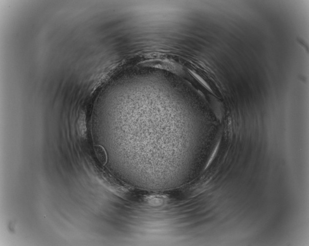 X0000103160508200809051702