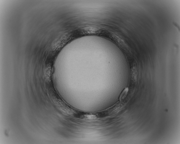 X0000103160509200809051702