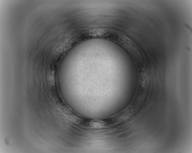 X0000103160510200809051702