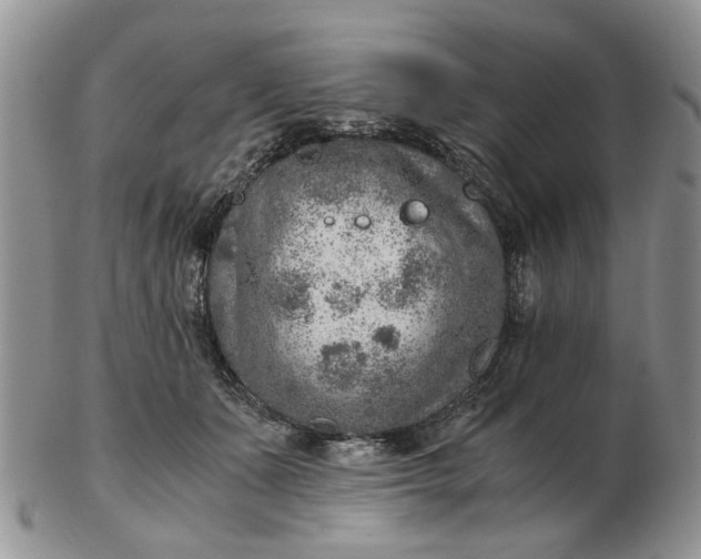 X0000103160511200809051702