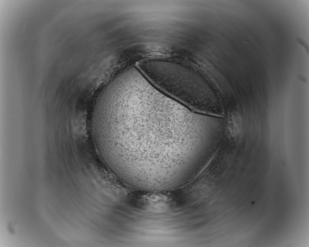 X0000103160512200809051702