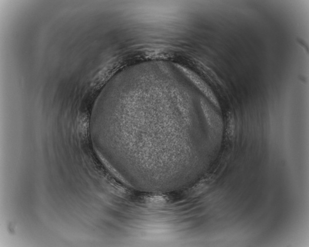 X0000103160513200809051702