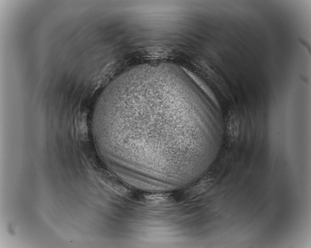 X0000103160516200809051702