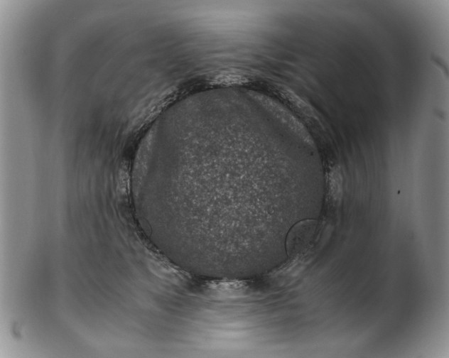 X0000103160517200809051702