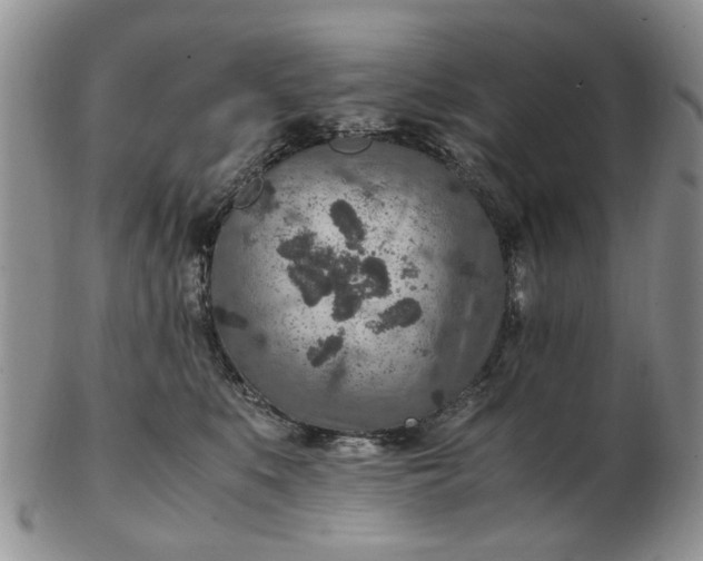 X0000103160519200809051702