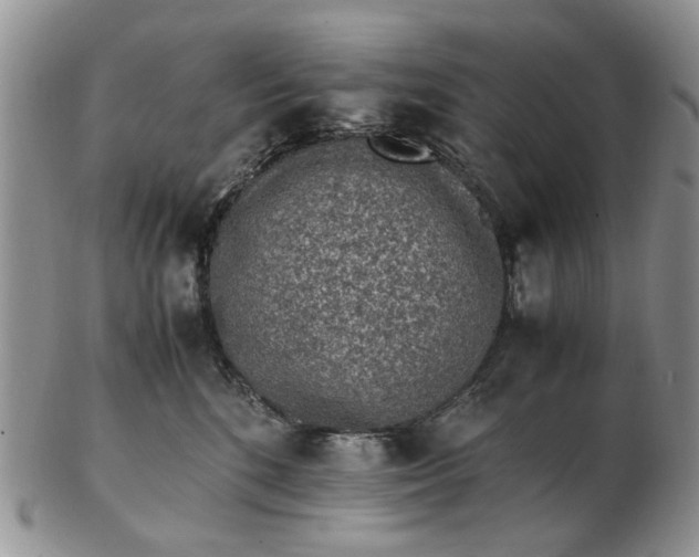 X0000103160520200809051702