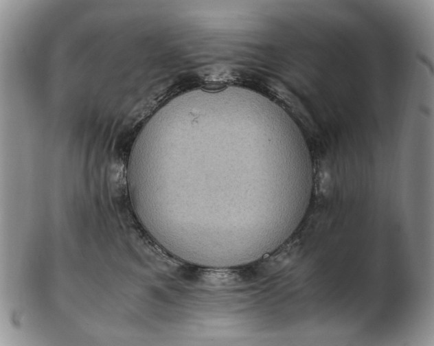 X0000103160521200809051702