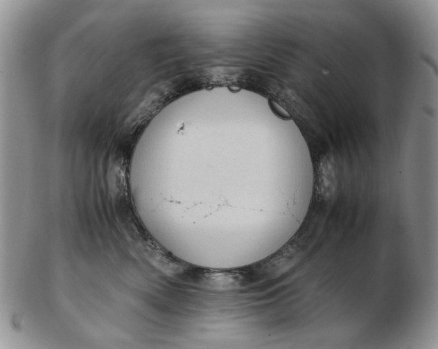 X0000103160522200809051702