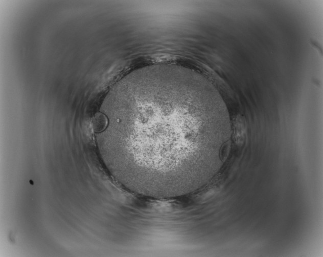 X0000103160523200809051702