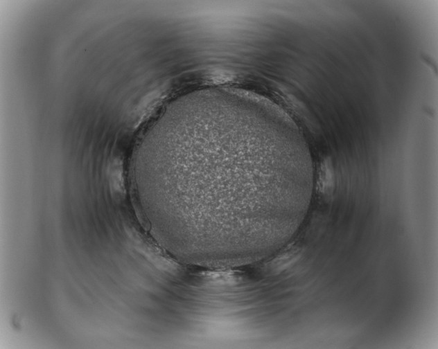 X0000103160524200809051702