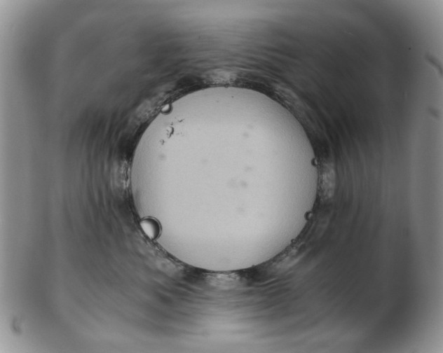 X0000103160525200809051702