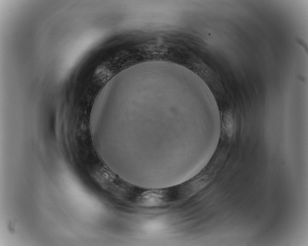 X0000103160526200809051702