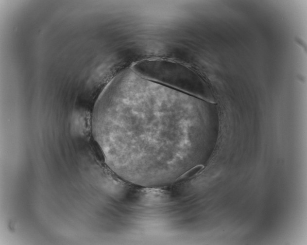 X0000103160528200809051702