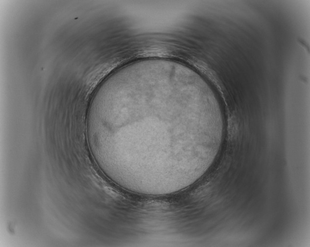 X0000103160529200809051701