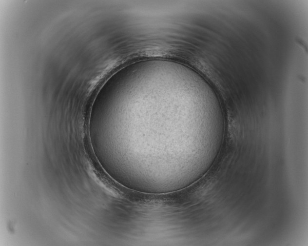 X0000103160530200809051701