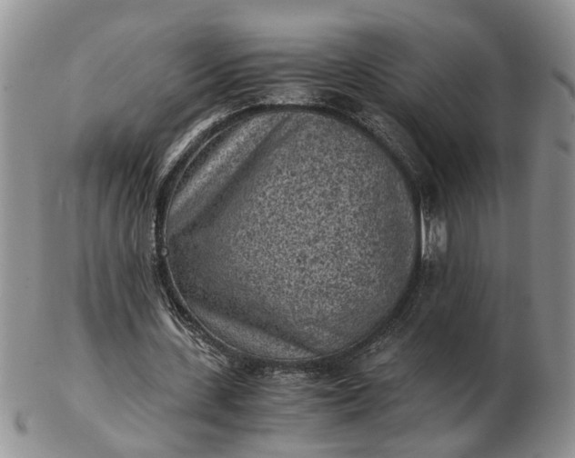 X0000103160531200809051701