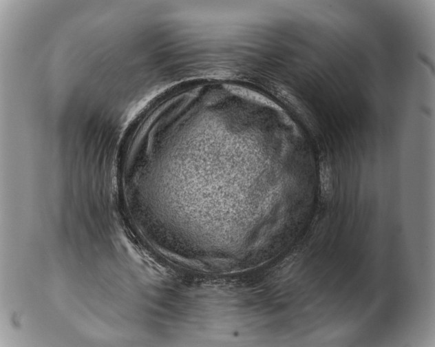 X0000103160532200809051701