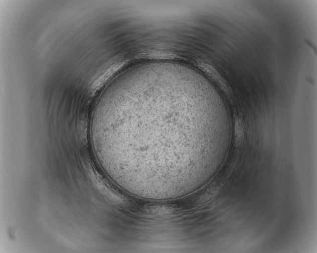 X0000103160533200809051701