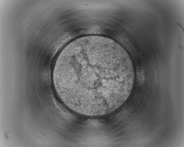 X0000103160534200809051701