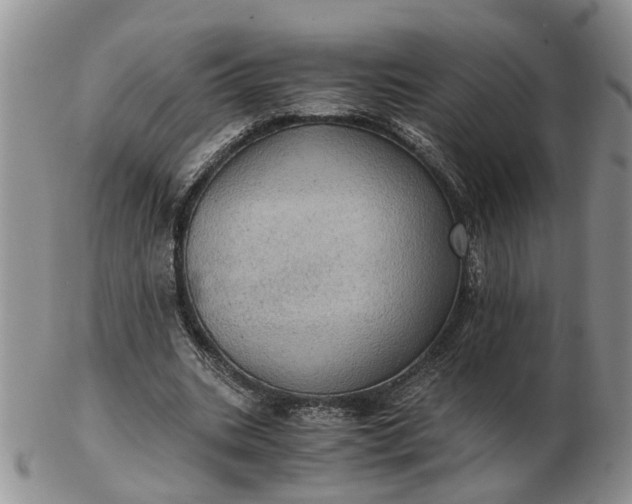 X0000103160535200809051701