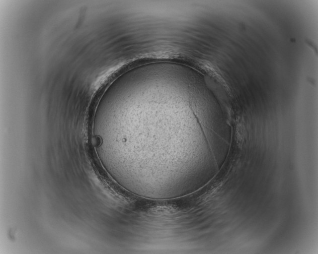 X0000103160536200809051701