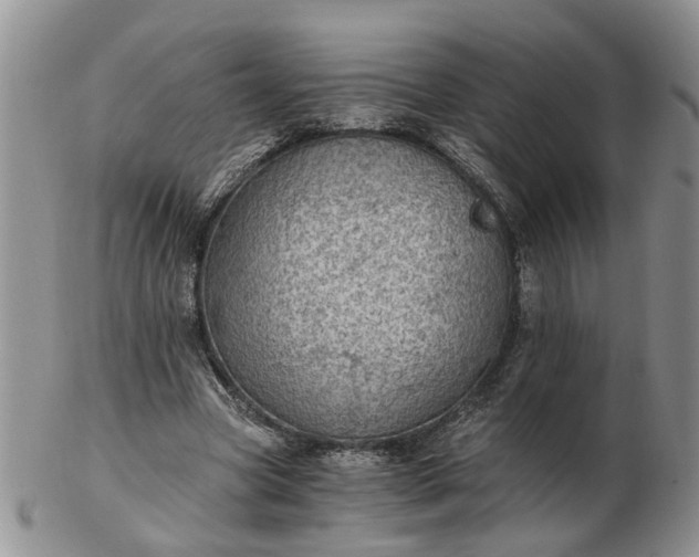 X0000103160537200809051701