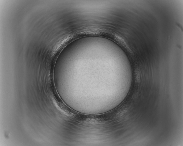 X0000103160538200809051701