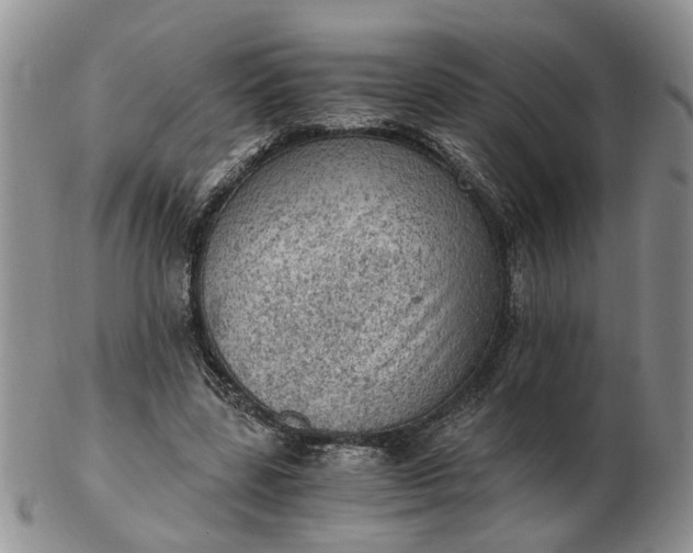 X0000103160539200809051701