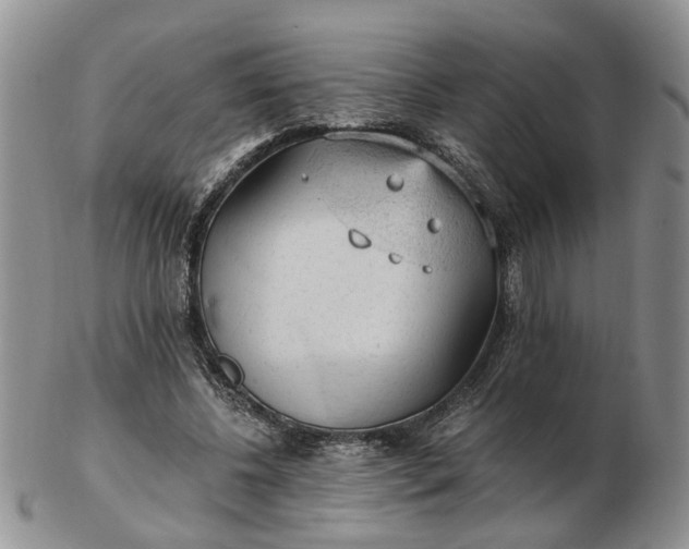 X0000103160540200809051701