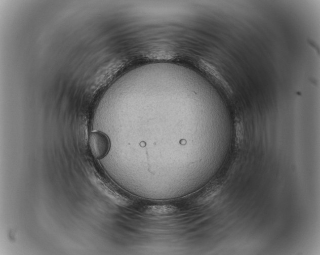 X0000103160541200809051701