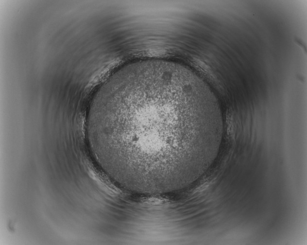 X0000103160542200809051701