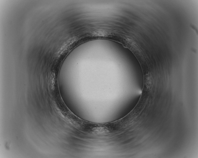 X0000103160544200809051701