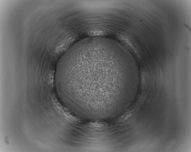 X0000103160545200809051701