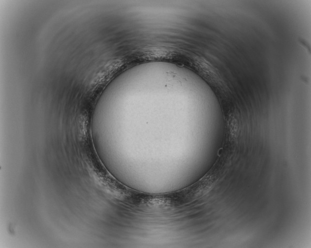 X0000103160546200809051701