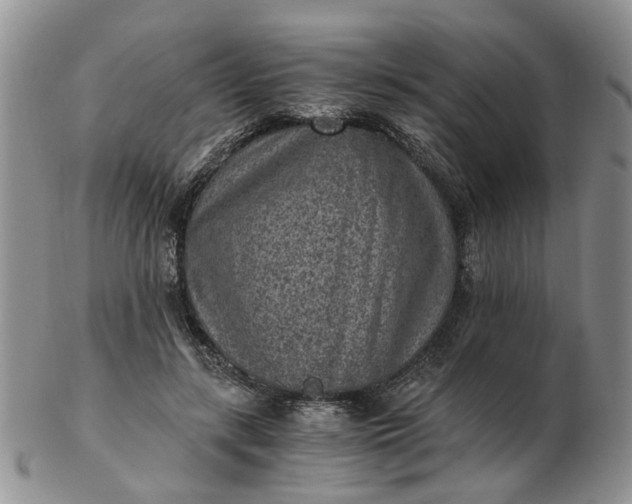 X0000103160547200809051701