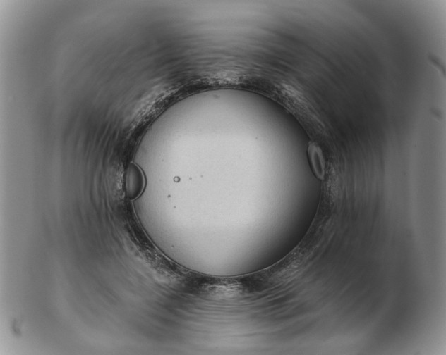 X0000103160548200809051701