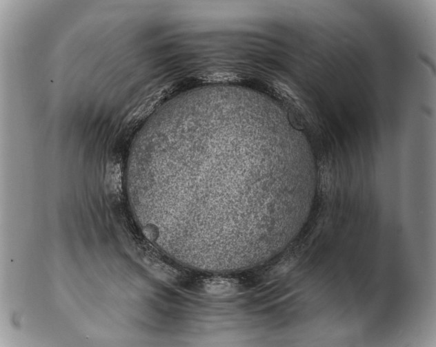 X0000103160549200809051702