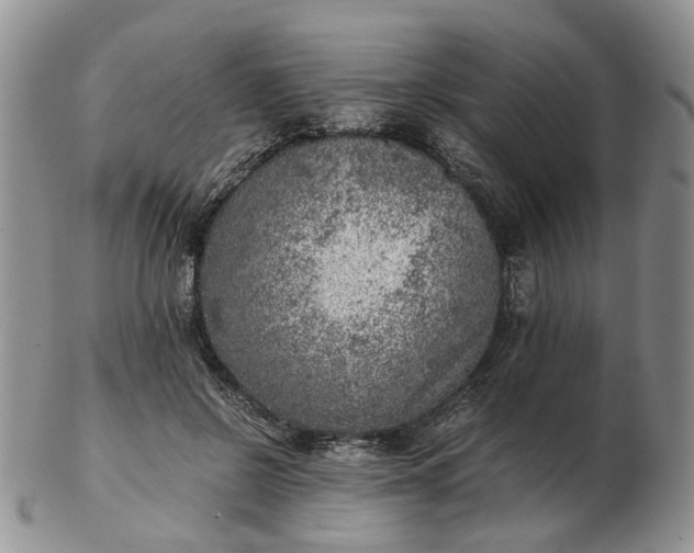 X0000103160550200809051702